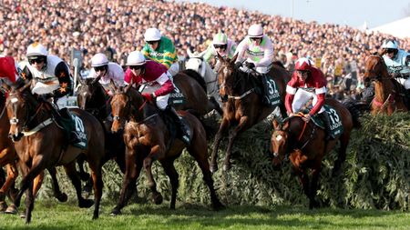 Jockey Davy Russell rode Tiger Roll (No.13) to victory at the 2018 Grand National 