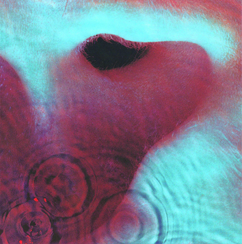 How Pink Floyd made Meddle | Louder