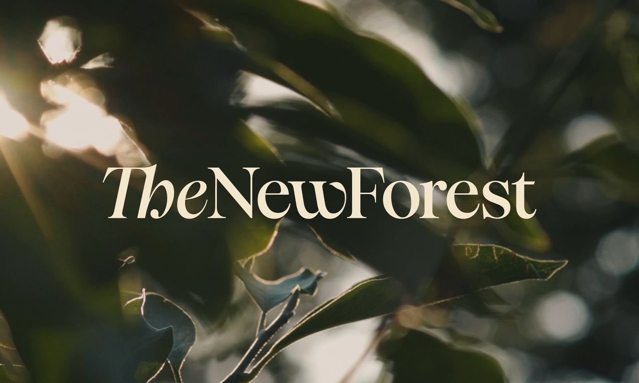 The New Forest branding