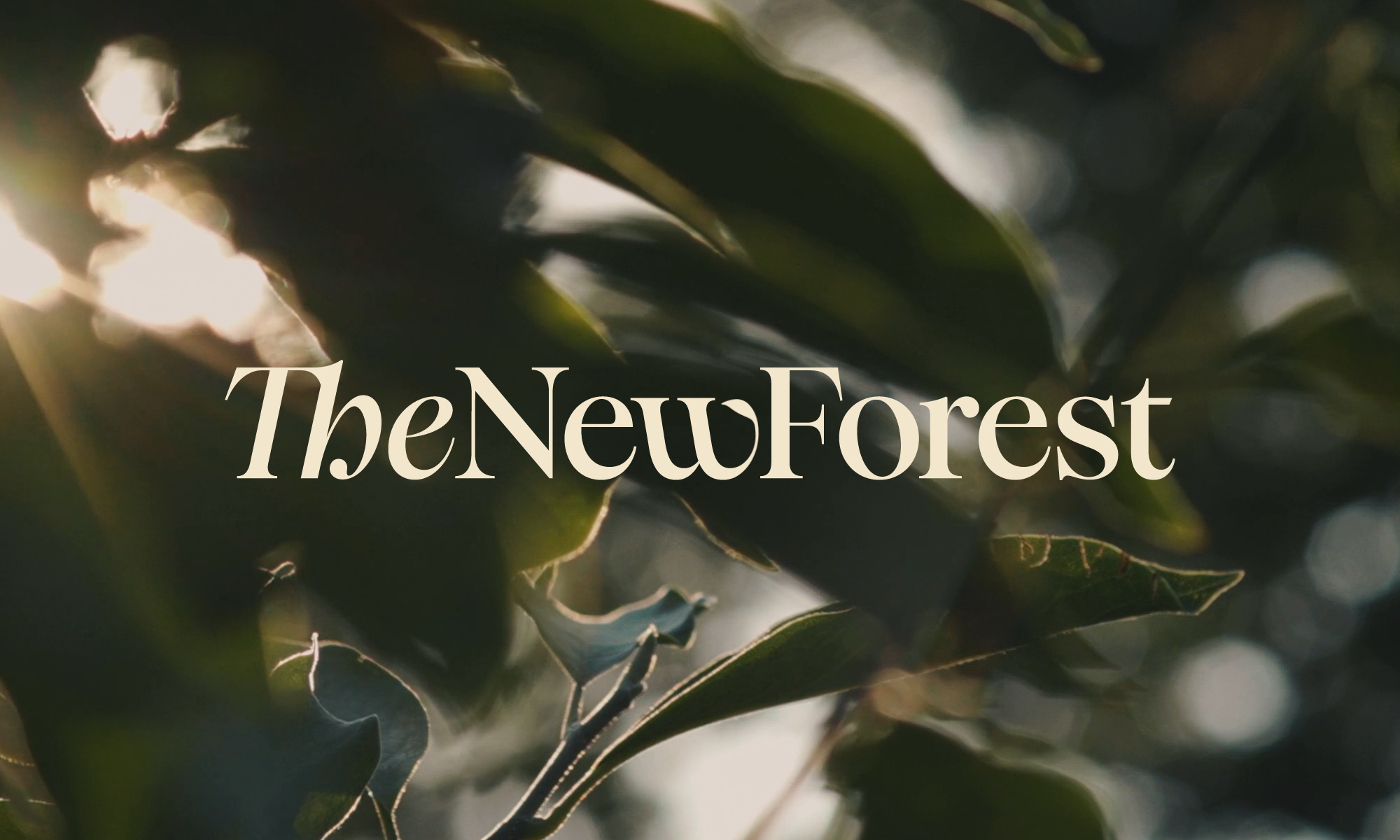 The New Forest branding
