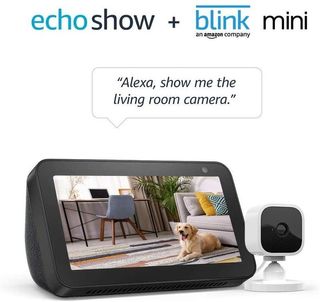 Echo Show 5 Blink Mini Combo