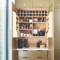 An open green pantry with kitchen appliances