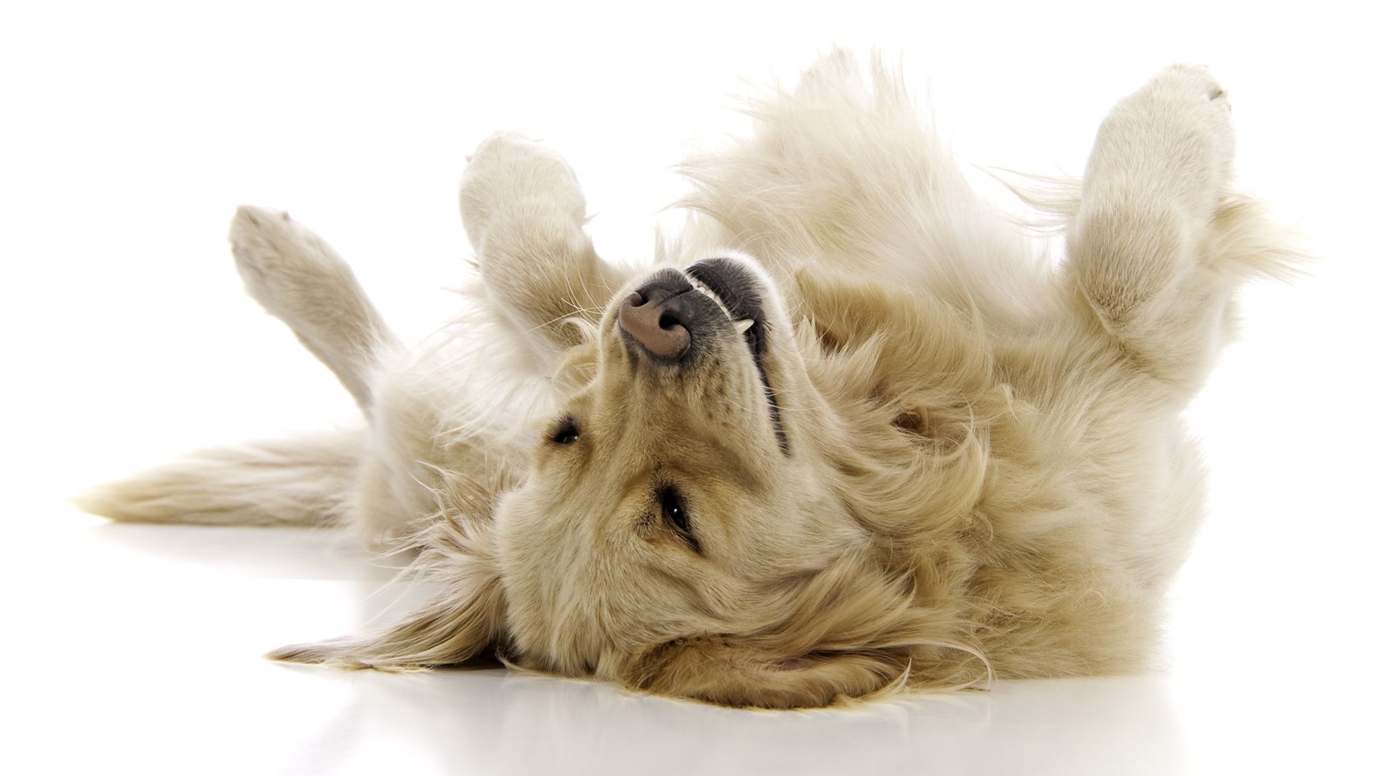 kiplinger.com - Andrew Rosen, CFP®, CEP - How Playing Dead Can Maximize Your Investment Returns (Seriously)