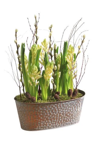 Winter floral planter from Bloom & Wild