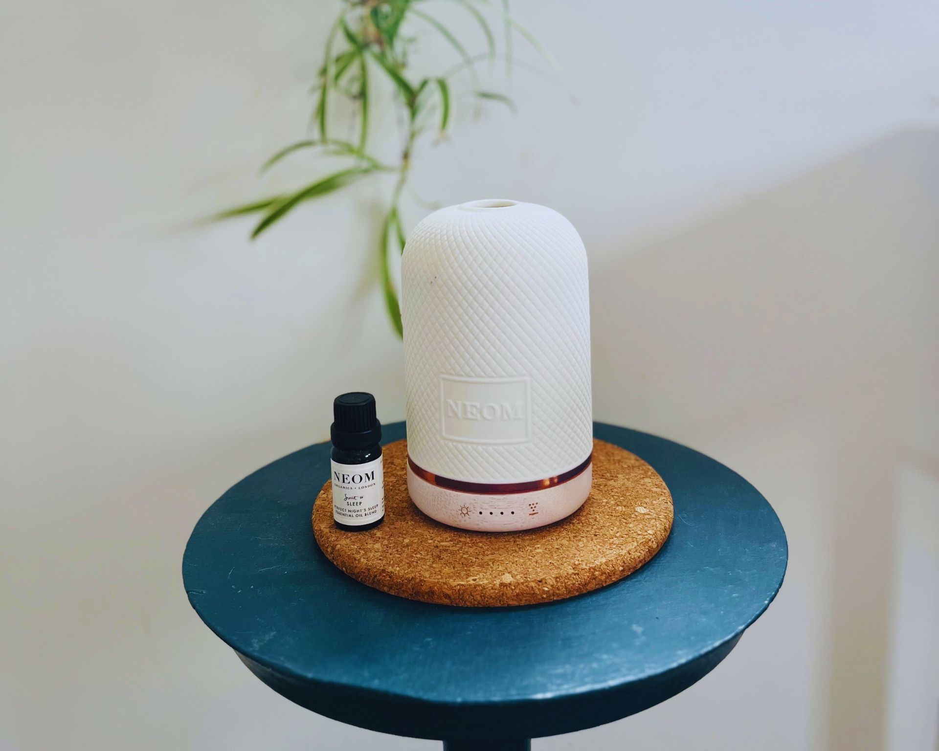 Diffuser minyak esensial keramik putih di atas meja biru dengan tanaman hias di belakangnya.