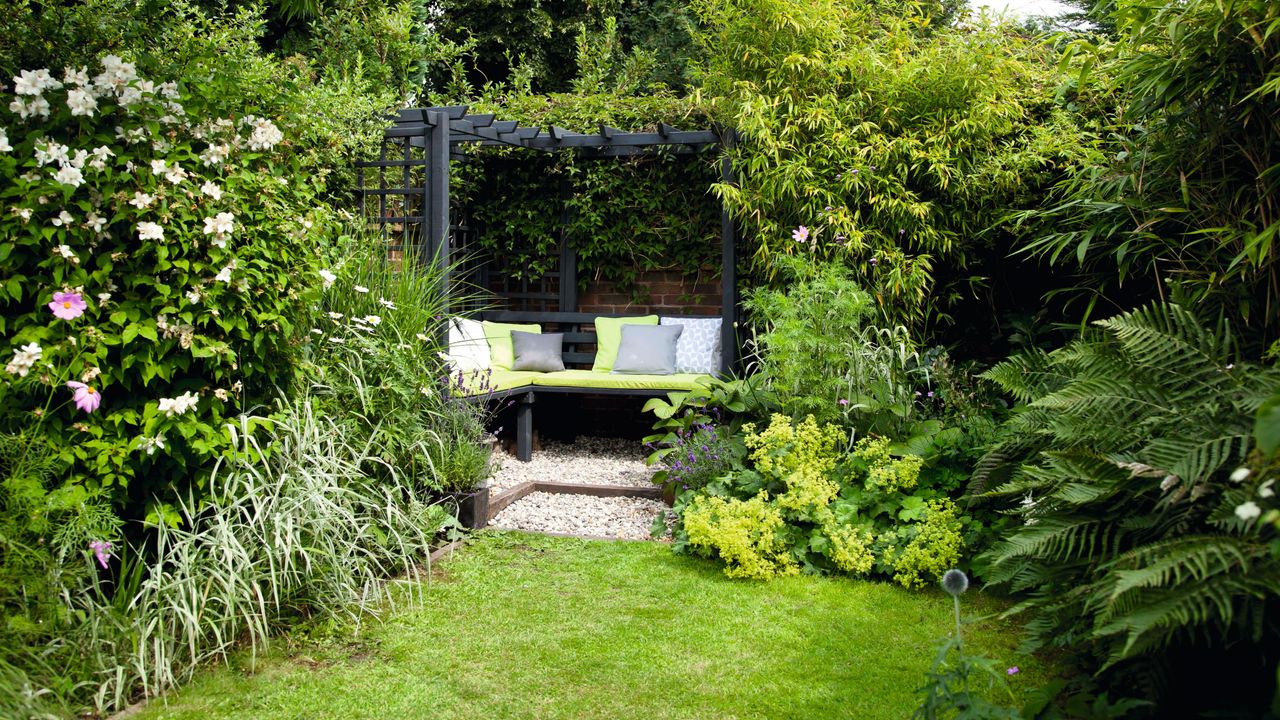 Pretty garden, grass lawn, black arbour frame, bench seating, cushions