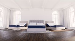 Sleep Number ComfortNext Collection, comprising three beds in an open room with a brown hardwood floor and floor-to-ceiling windows