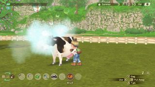 Story of Seasons: A Wonderful Life - a player brushes their cow while standing in the pasture