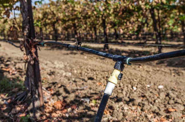 sustainable california