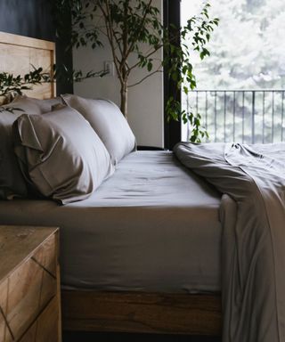 Side view of Cozy Earth Bamboo Sheet Set on a bed against a plant and a window with a garden view.