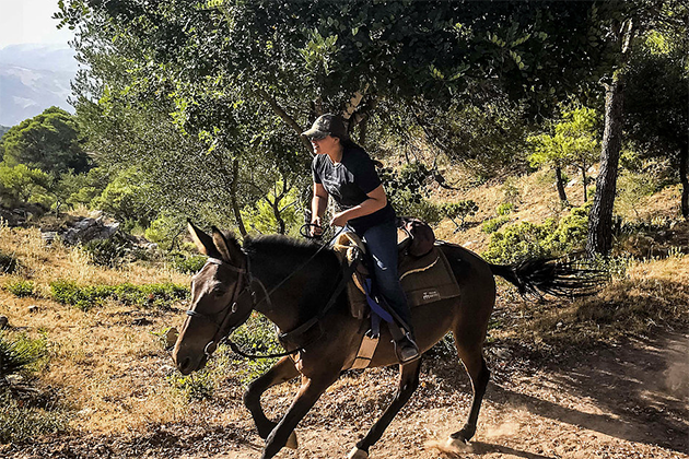 Ride Andalucia