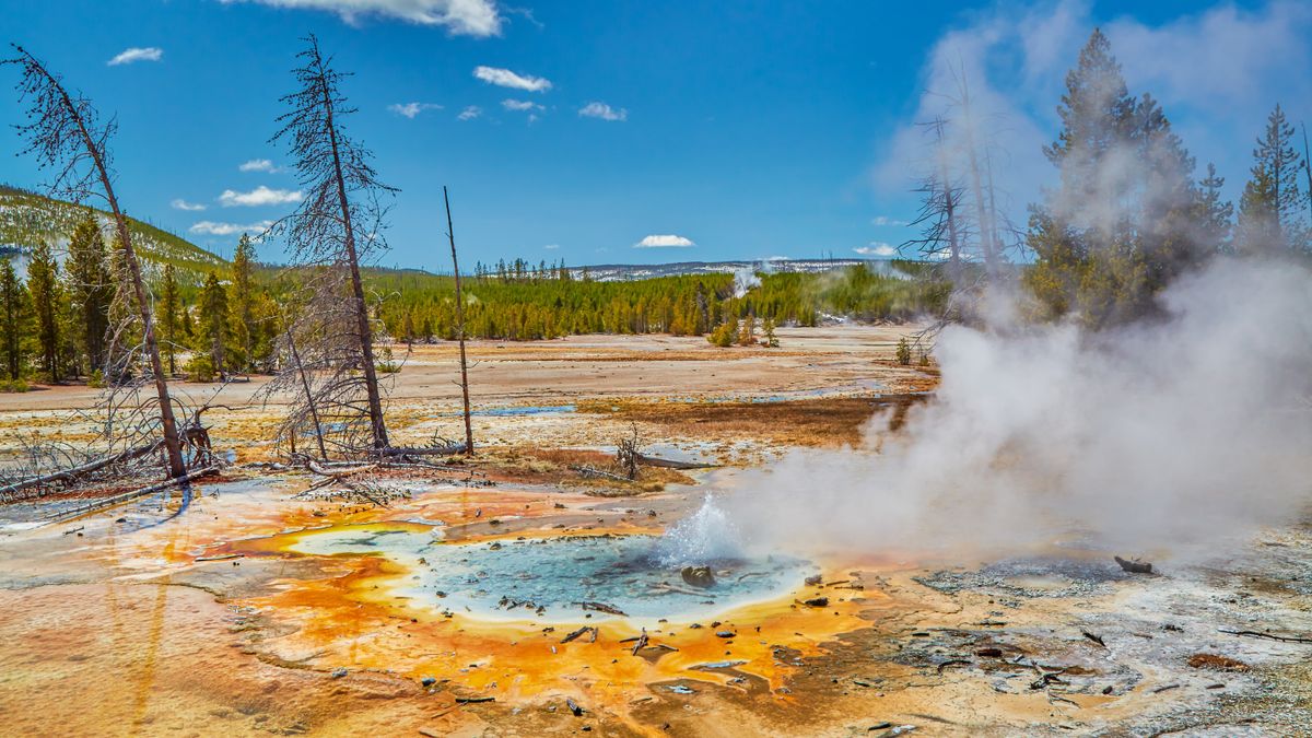 Minute Geyser at Yellowstone National Park, Wyoming, USA