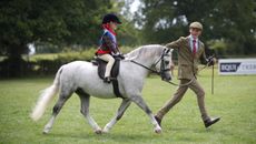 Sam Laity leads Ivington Nancy Casper and Sienna Walker to the top spot in the mini M&M Pretty Polly championship