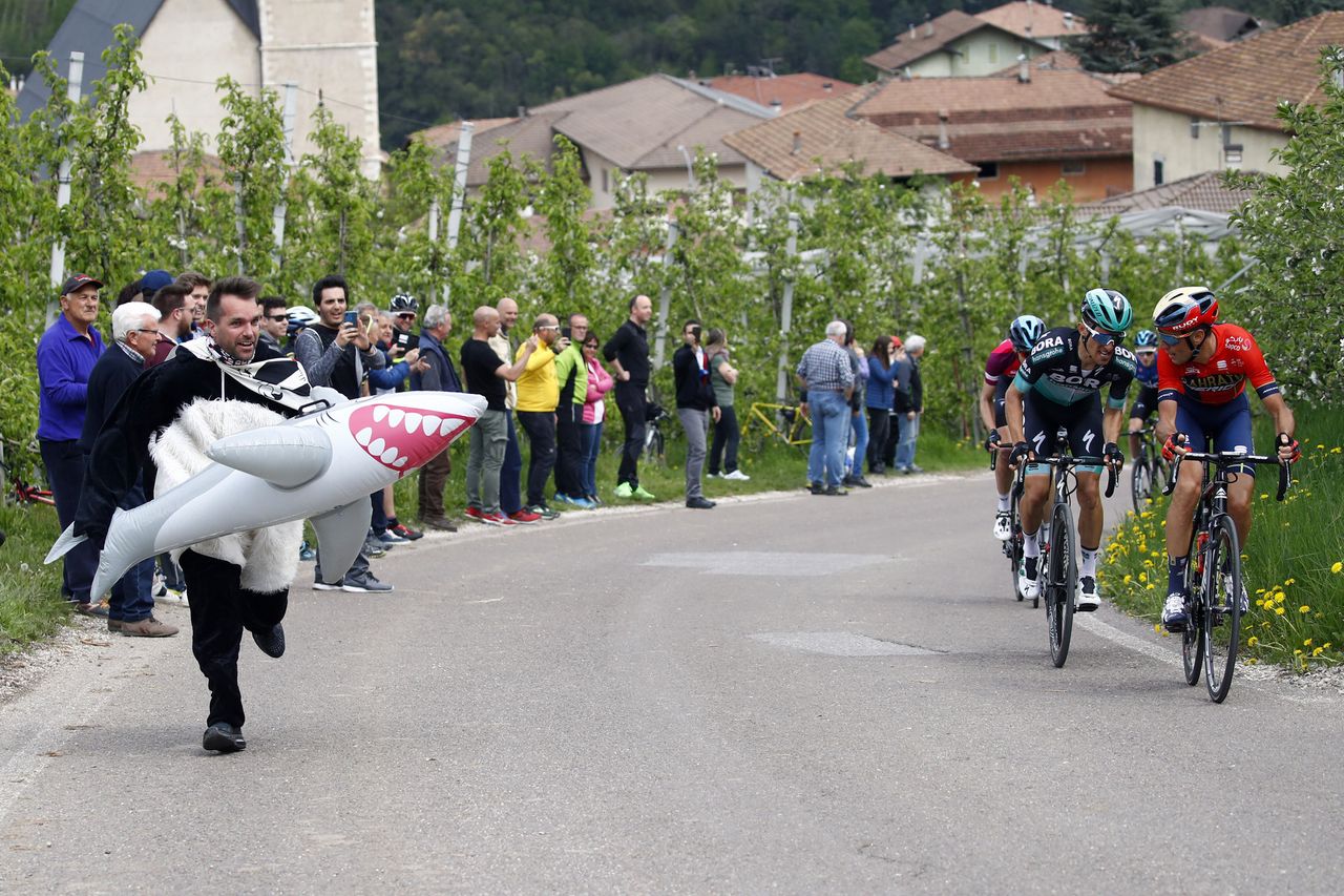 A roadside fan paying tribute to the 'Shark of Messina' - Nibali's nickname