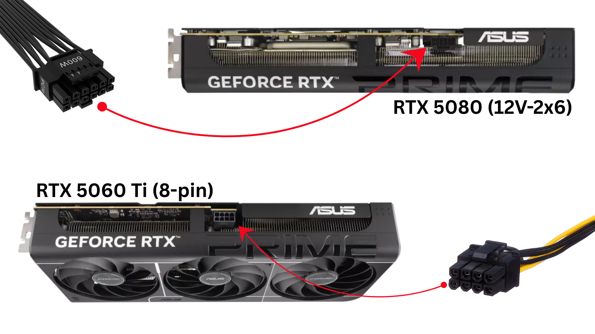 The 16-pin connector on the RTX 5080 vs. the 8-pin connector on the RTX 5060 Ti