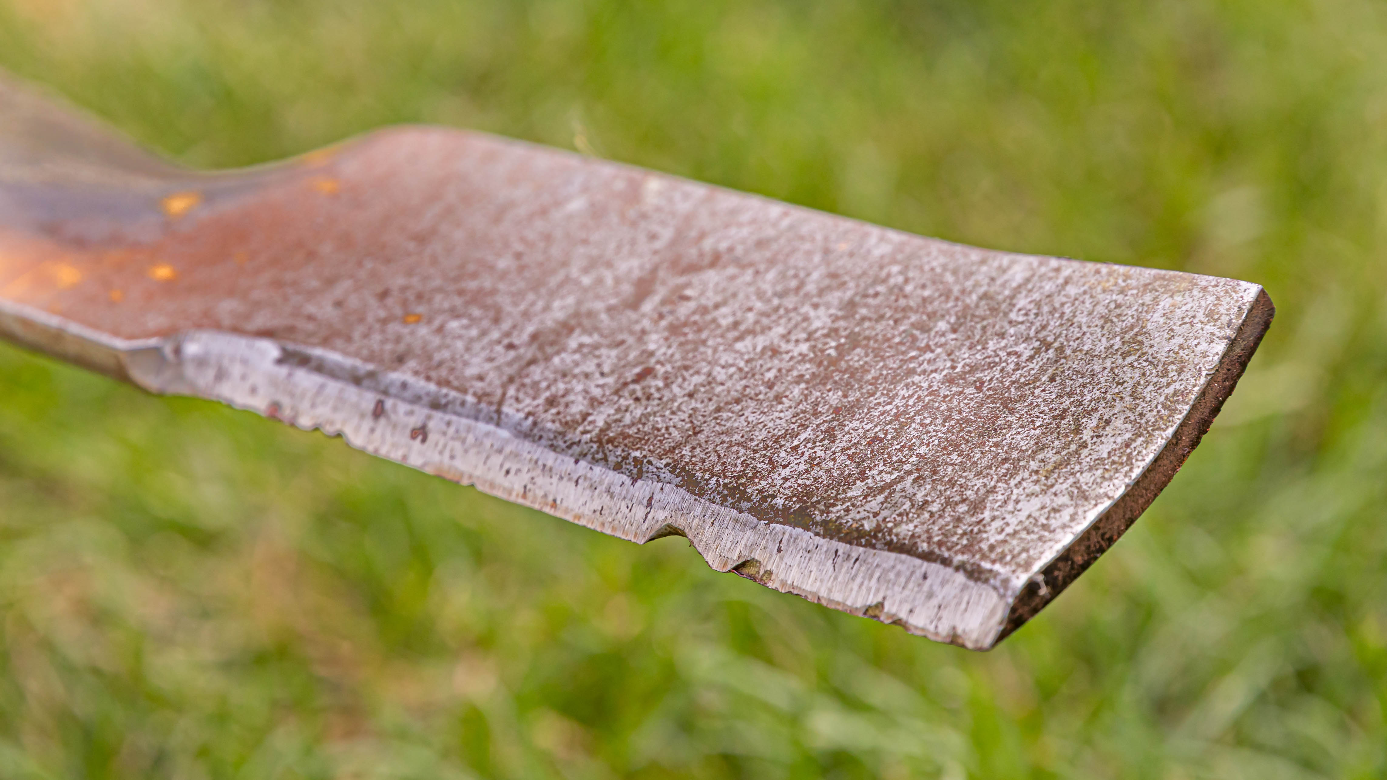 A damaged lawn mower blade