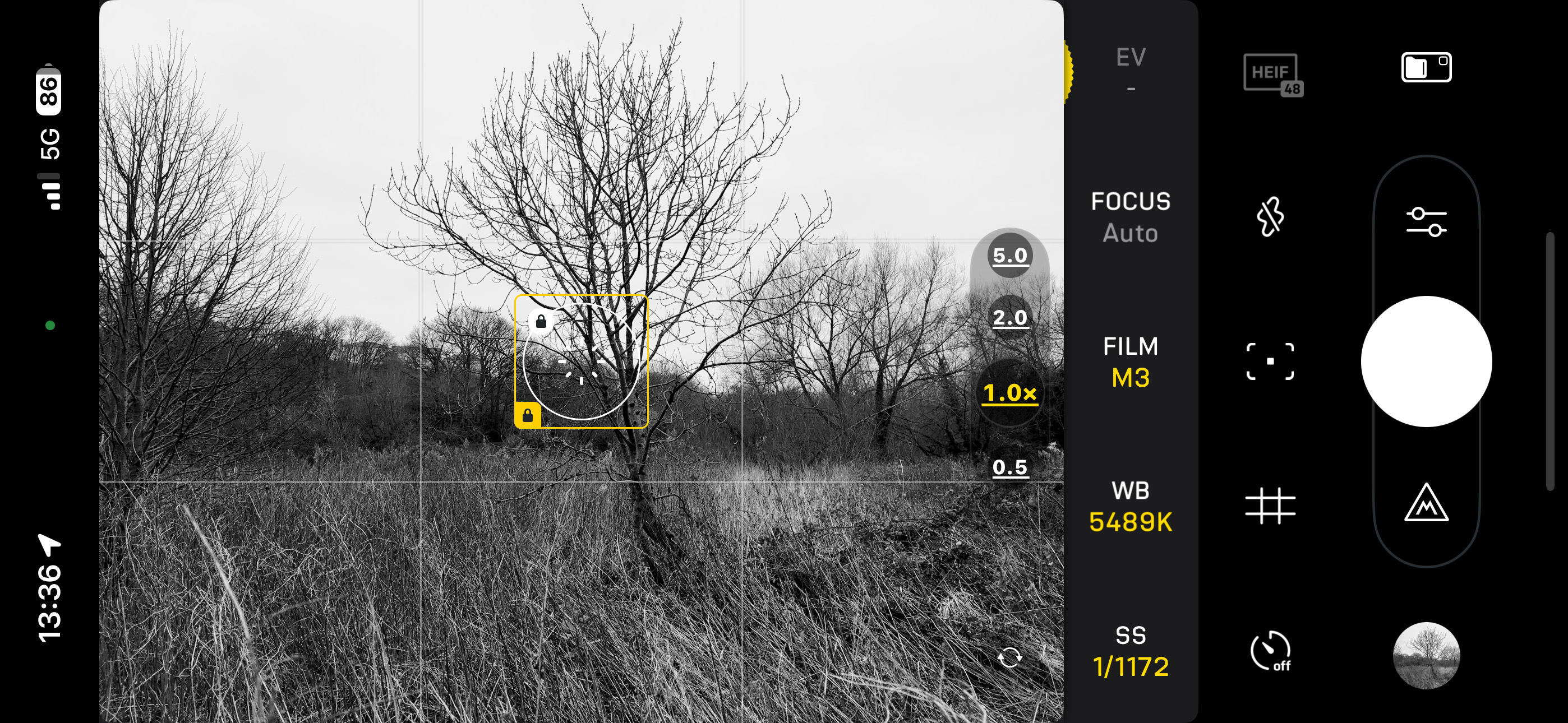 The Fjorden camera app interface, with monochrome photo of a tree being composed