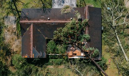 A house damaged by a fallen tree after Hurricane Laura made landfall in Louisiana, U.S. Photographer: Bryan Tarnowski/Bloomberg