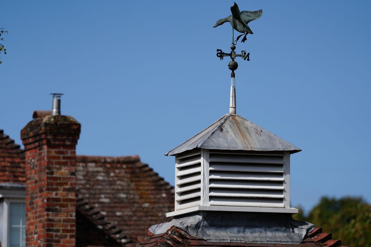 Sony FE 400mm f/4.5 GM OSS sample image