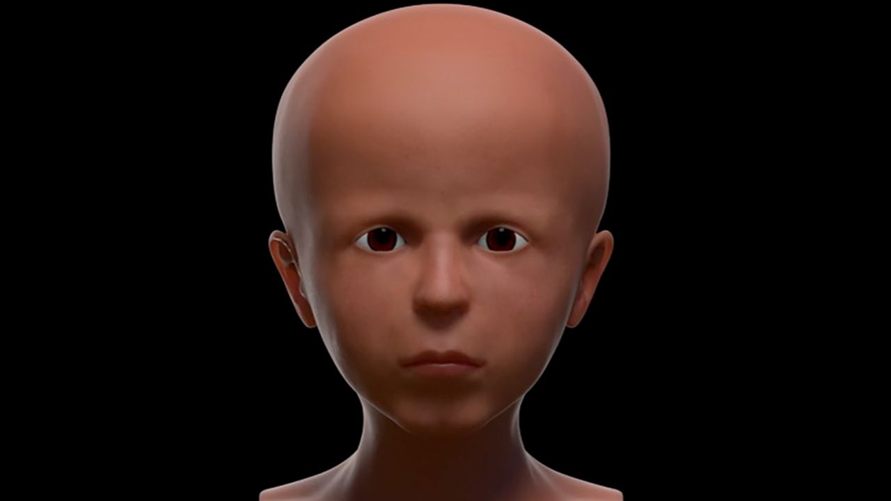The "raw model" of the facial reconstruction.