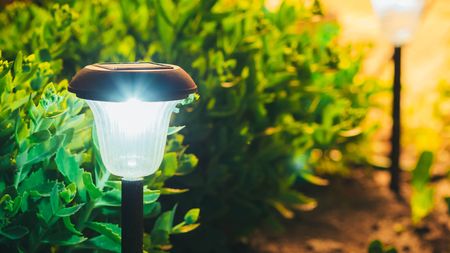 Solar lights in garden