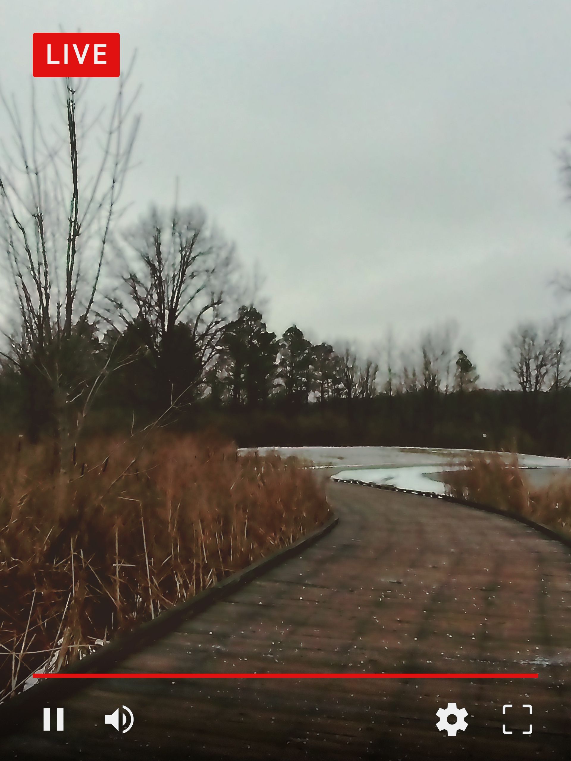 A photo taken with the Fujifilm Instax Mini Eco Cinema decade camera