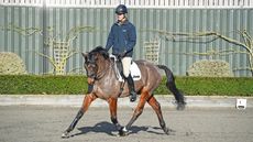 NEW-MAIN-WFP-Training_Feature_20PN_39721_377157311_645224281.jpg