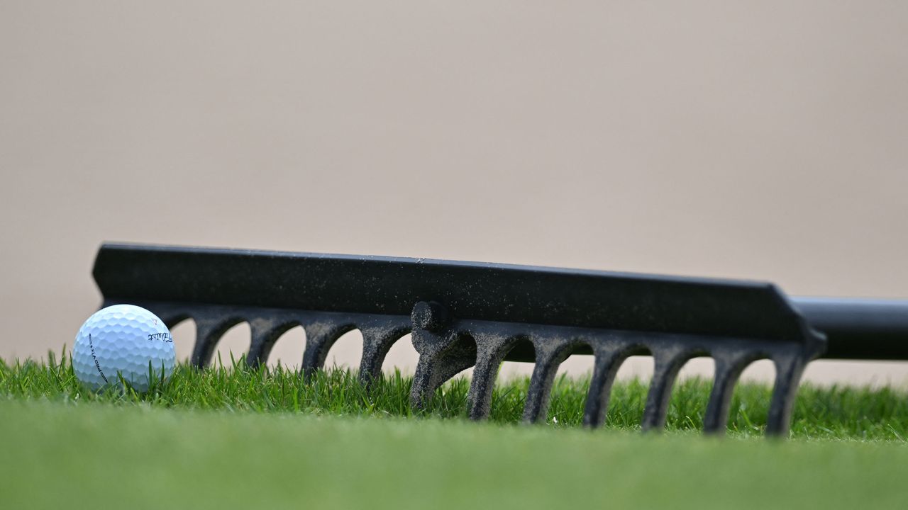 Ball resting against a rake