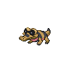 Sandile