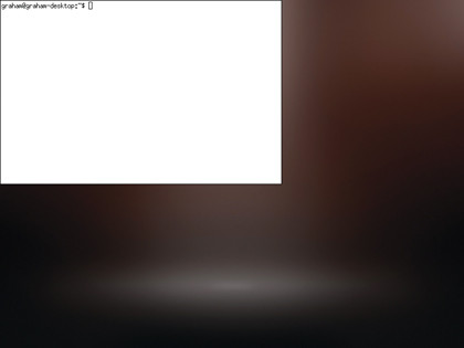 Linux exposed - xterm