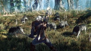 The Witcher 3: Wild Hunt, screenshot 5