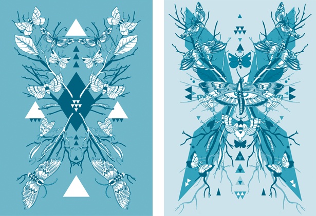 Lucy Joy - Moth Symmetry
