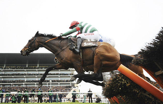 Unowhatimeanharry fluffs the last before winning his fifth race in a row, the Albert Bartlett Novices’ Hurdle at Cheltenham