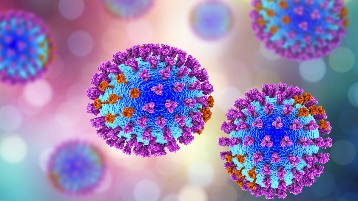 The deadliest viruses in history Verve times