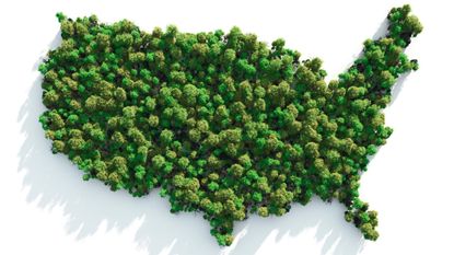 An overhead view of trees in the shape of the continental United States