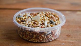 Bird food in plastic container