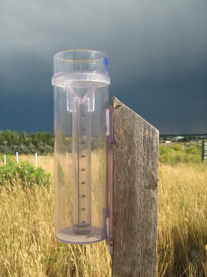 Rain gauge