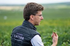 web-DEC277.adv02_cattier.champagne_cattier_poulalier_jerome_7.jpg