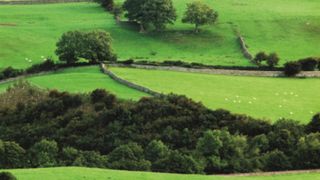 Countryside broadband plan slammed again by MPs