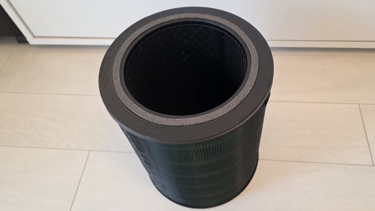 A view of the Coway Airmega 350's filter from above.