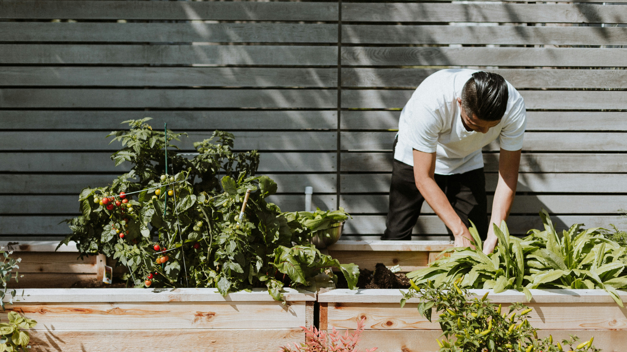 summer gardening