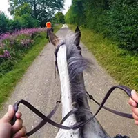 Riding experience for beginners – £65 Riding experience for beginners – £65