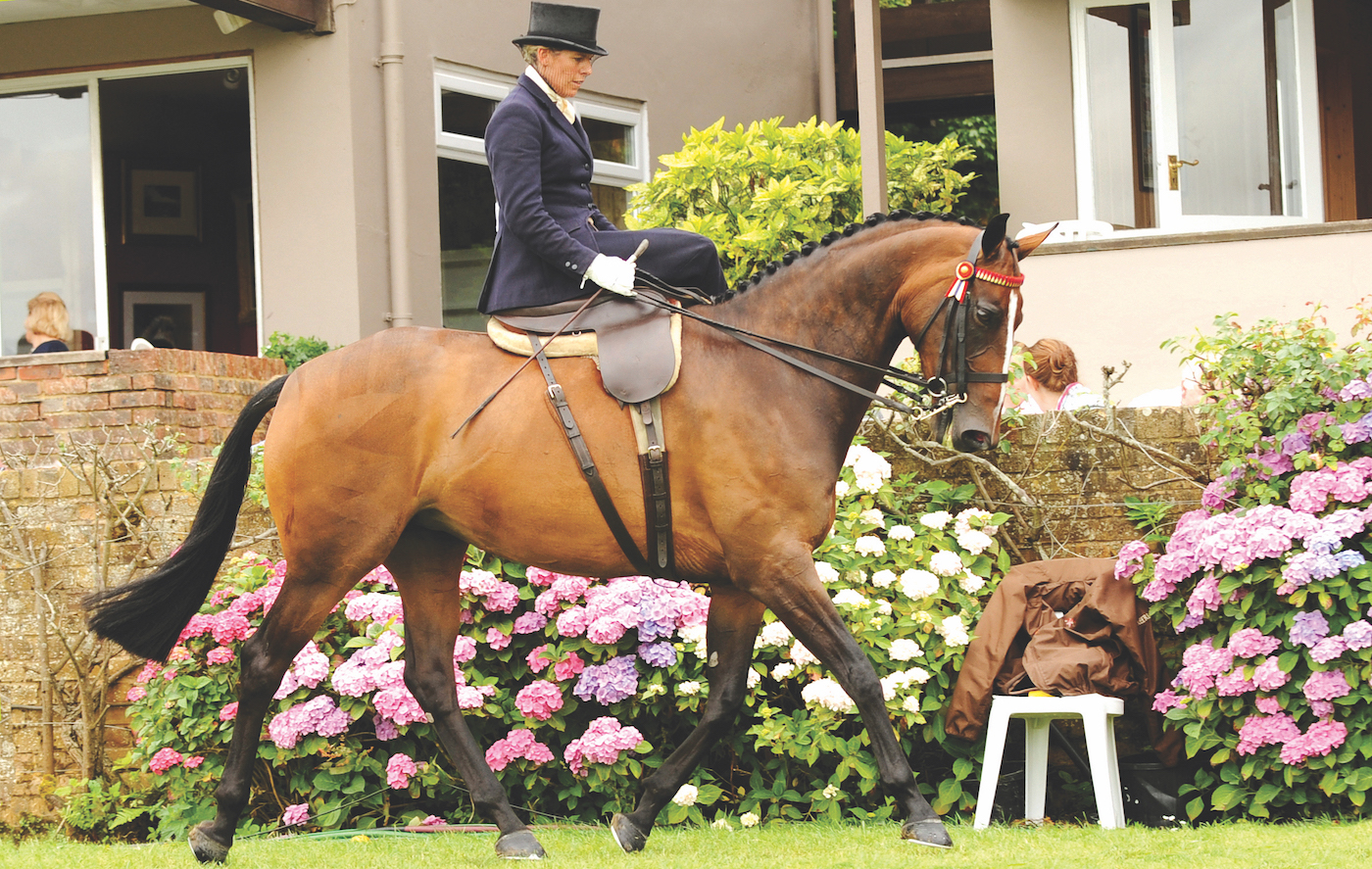 Katie Jerram and Stardust III