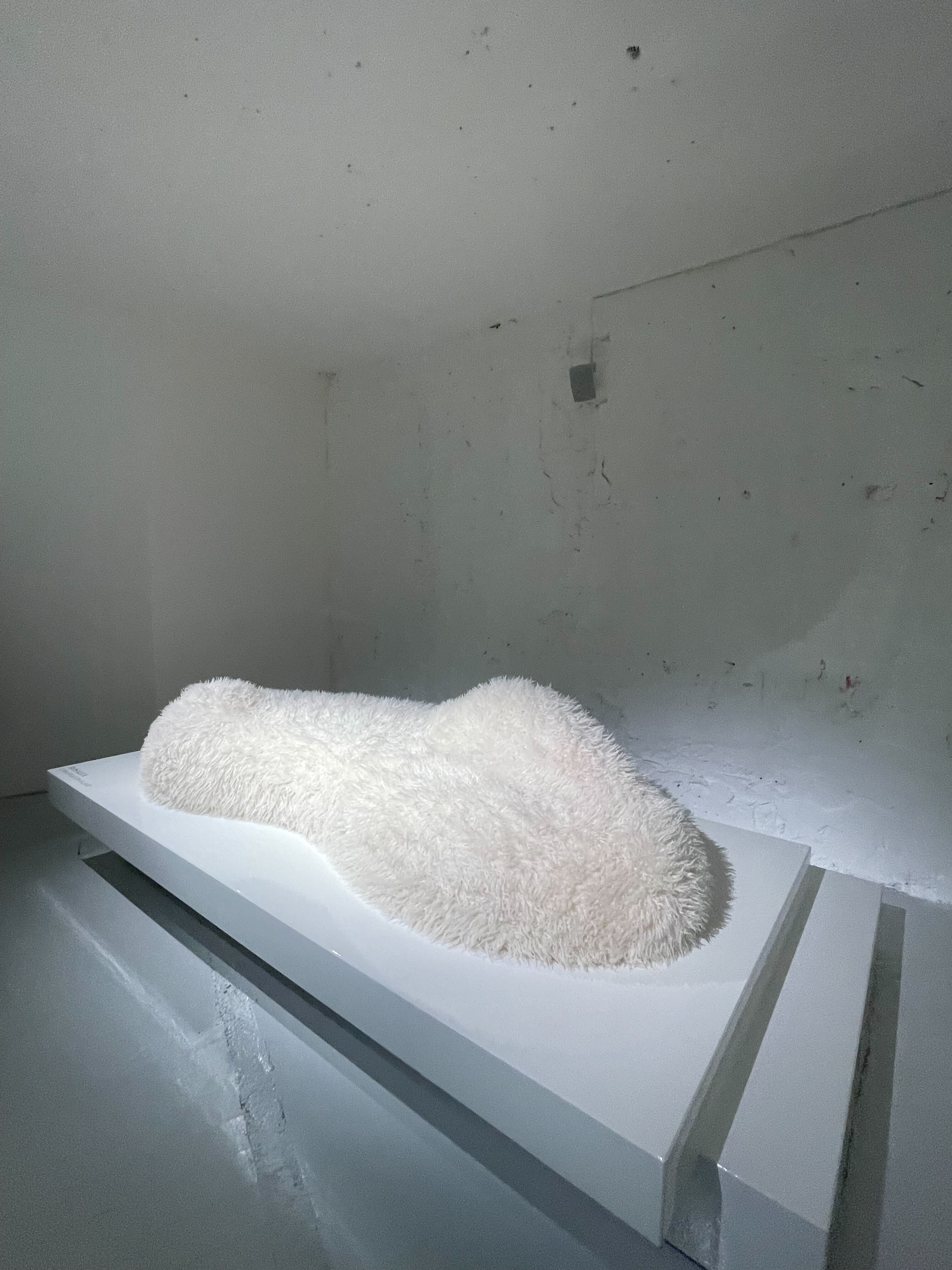 Zara 50th birthday collection