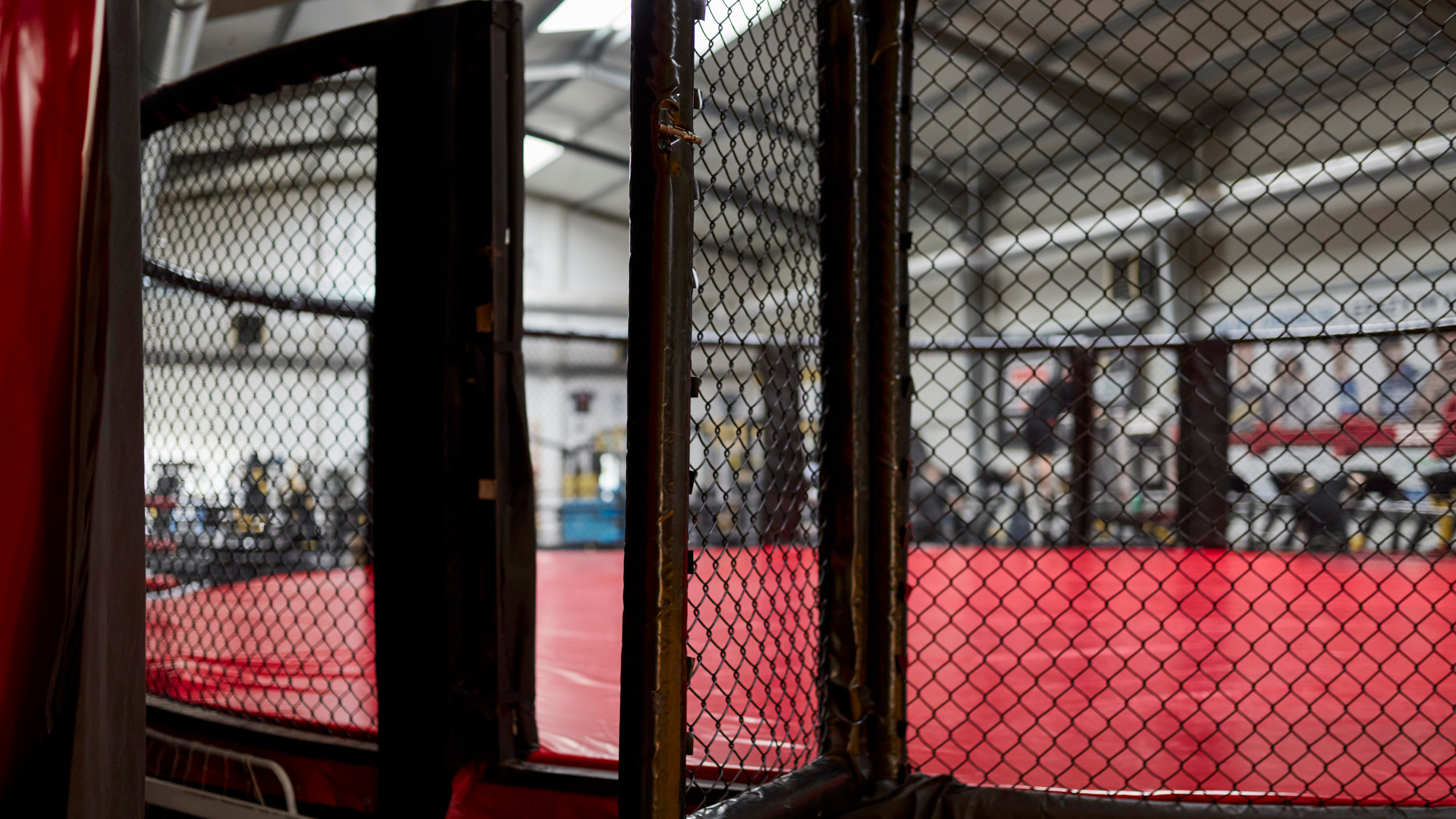 An mma arena 