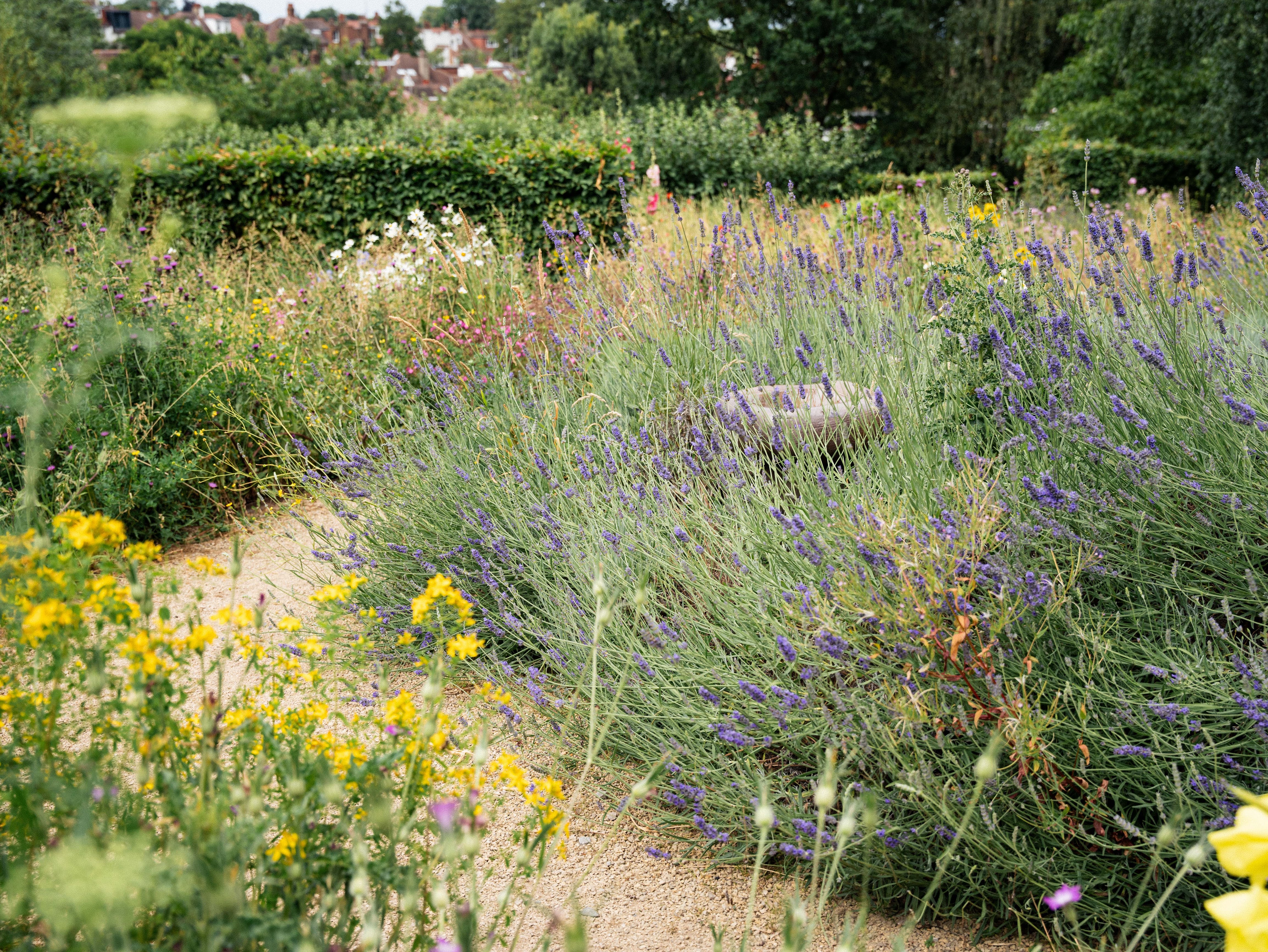 OmVed Gardens leafy green spaces and flowers