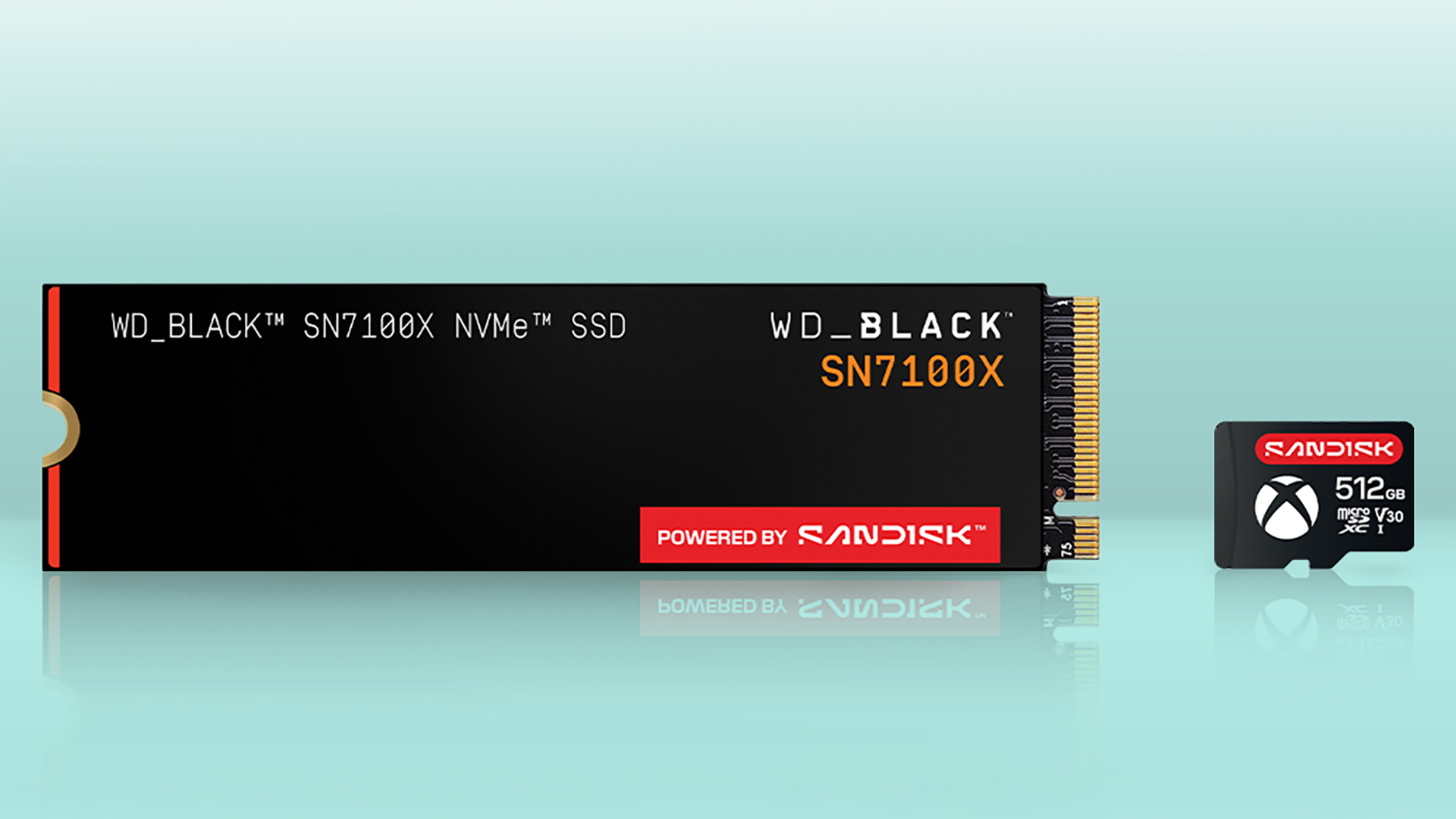 SanDisk Xbox Ally (X) microSD and SSD