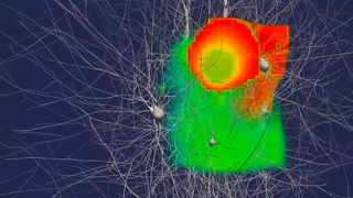 Some 86 billion neurons make up the human brain. (Credit: EPFL)