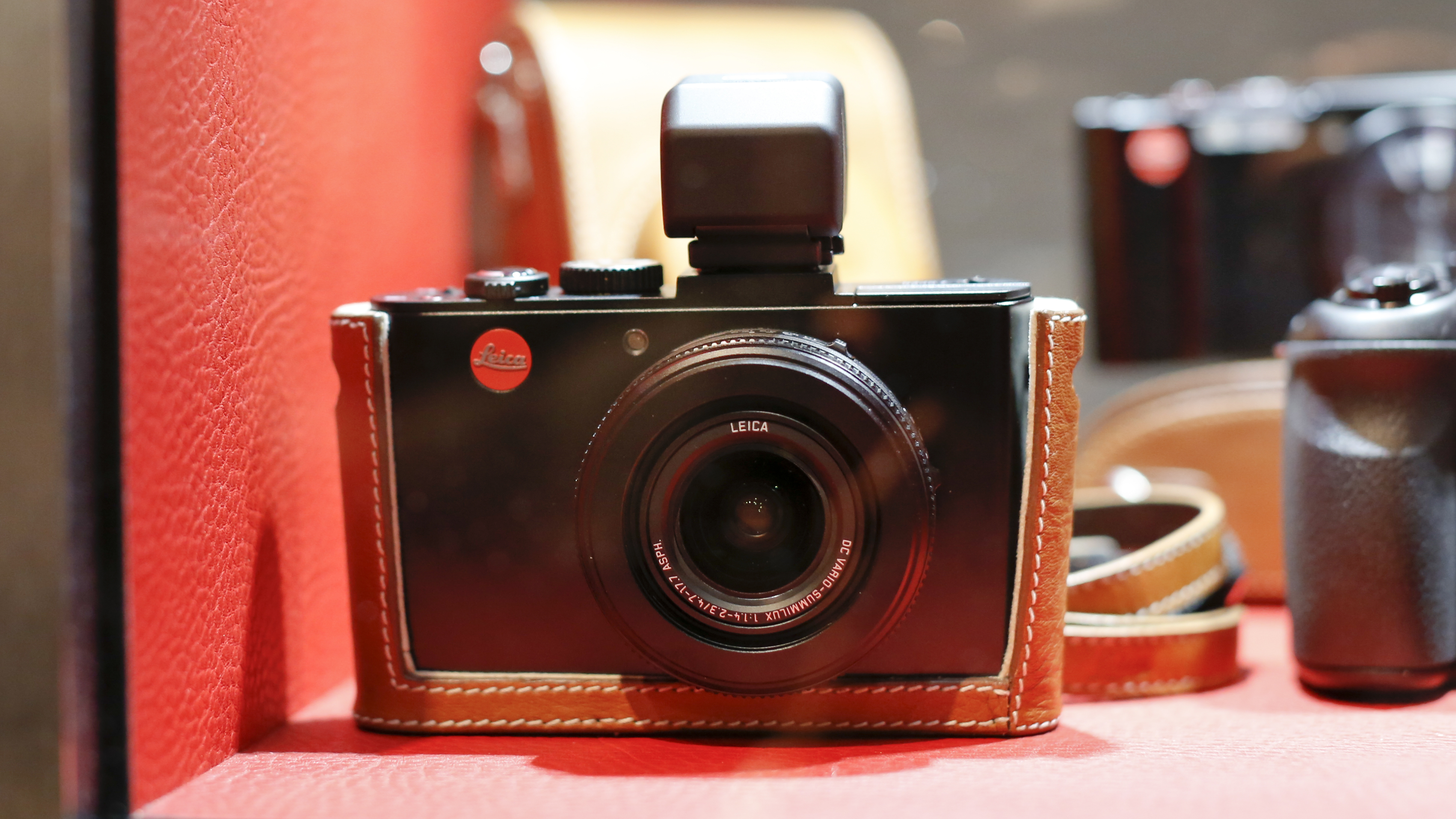 Leica D-Lux 6 revealed