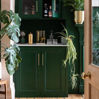Green painted kitchen cabinets with brass handles and displayed houseplants